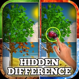 Hidden Difference - Four Seasons of Joy
