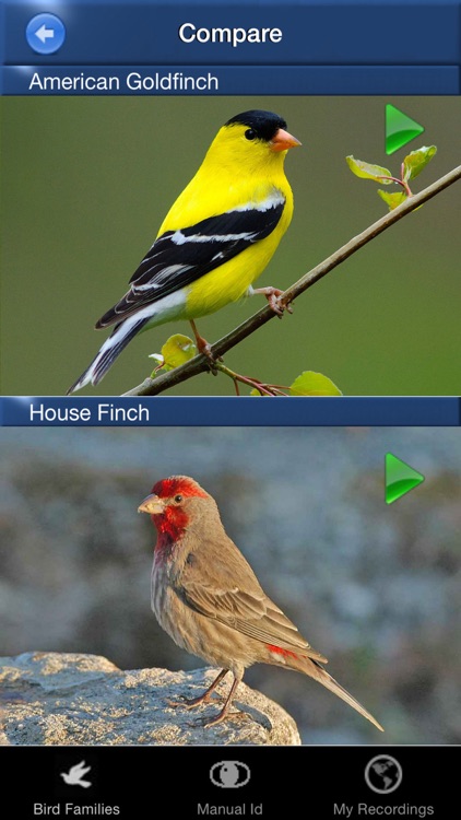 Bird Song Id USA Automatic Recognition Birds Songs