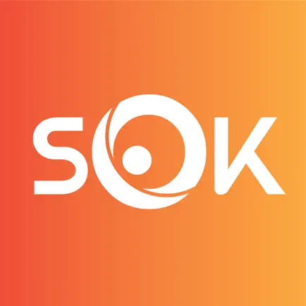 SokSok Читы