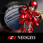 ACA Neo Geo: Power Spikes II