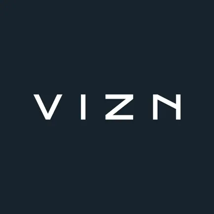 VIZN DashCam Читы