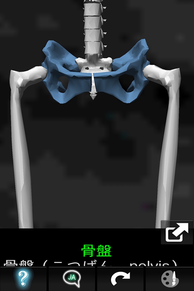 Bones 3D (Anatomy) screenshot 3