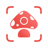 Picture Mushroom：Setas/Hongos ios app