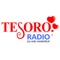 Icon Tesoro Radio®