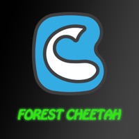 Forest Cheetah