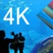 The program shows you videos of aquariums in 4K resolution