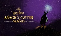 Magic Caster Wand TV Casting
