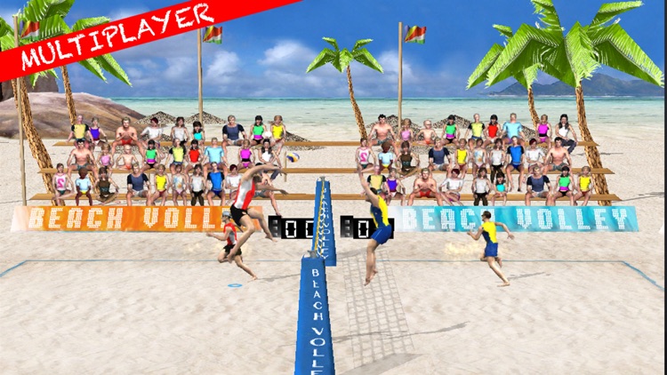 Beach Volley Pro