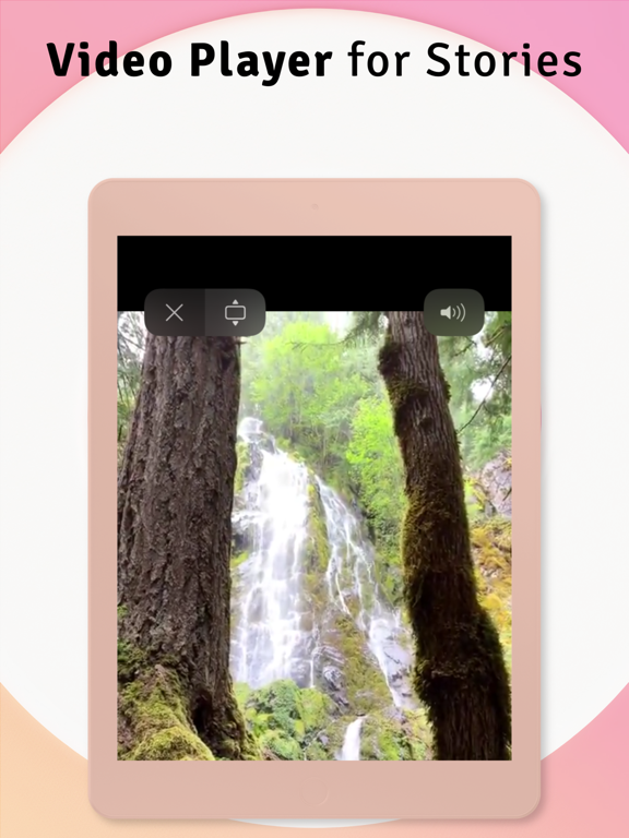 Picuki Save Story, View Video Picuki Save Story, View Video