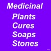 Medicinal Plants Cures Food
