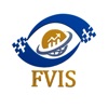 FVIS Finance House