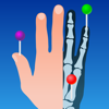 IMAIOS e-Anatomy ios app