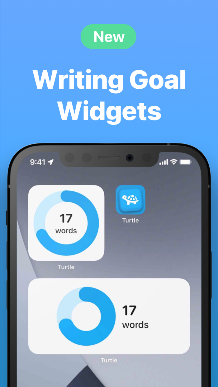 Turtle Private Diary Journal