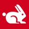Icon Rabbit Web Performance
