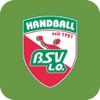 BSV Limbach-Oberfrohna e.V.