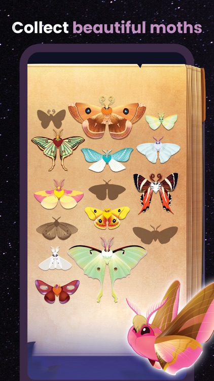 Flutter: Starlight