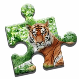 Tiger Love Puzzle