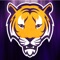 The Tiger Huddle App gives Tiger Fans exclusive access to stories, videos and photos of LSU athletics