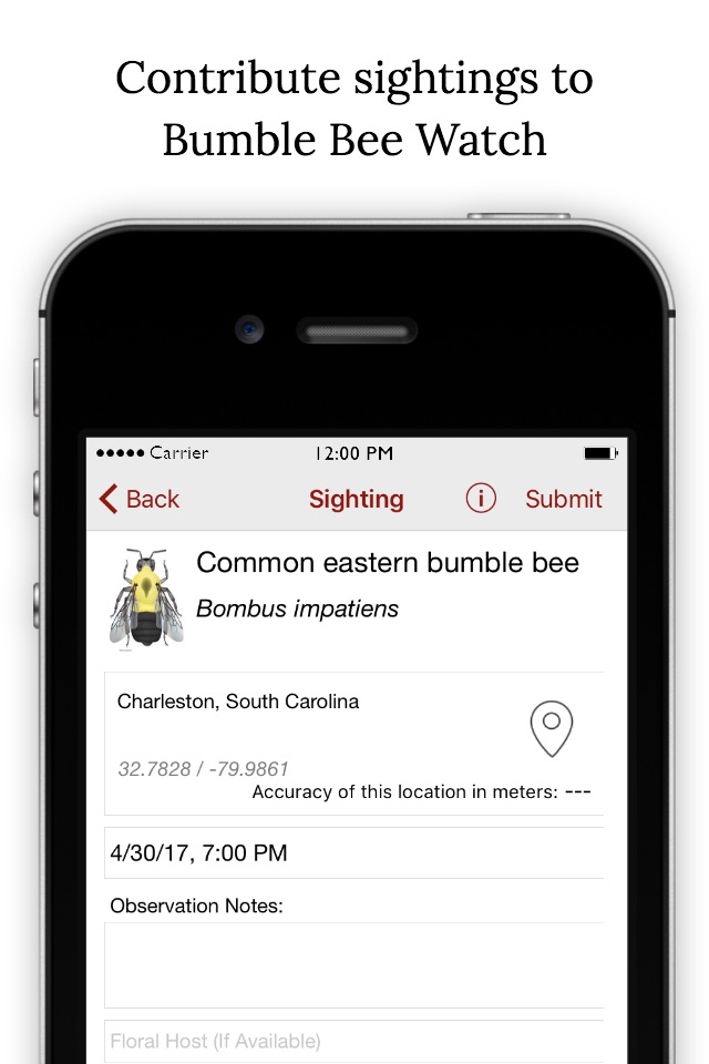 Bumble Bee Watch screenshot 4