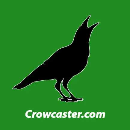 Crowcaster Cheats