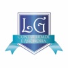 LG Contabilidade Carandaí