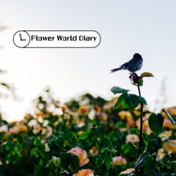 Flower World Diary