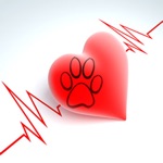 Pets Wellness