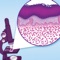 iDermpath is an app developed for clients of Fleming Dermatopathology