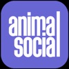 Animal Social