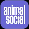Similar Animal Social Apps