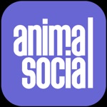 Download Animal Social app