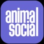 Animal Social app download