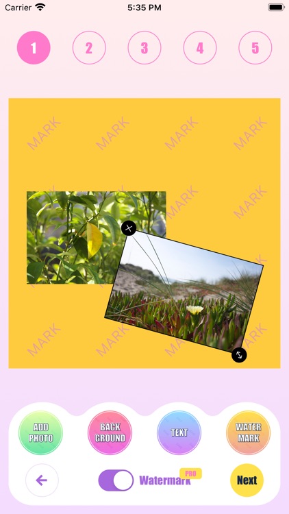 TikPlus Boost Likes for photos