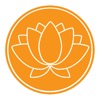 The Lotus Project