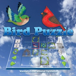 The Bird Puzzle