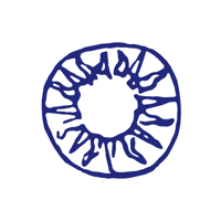 Strobel Ulm