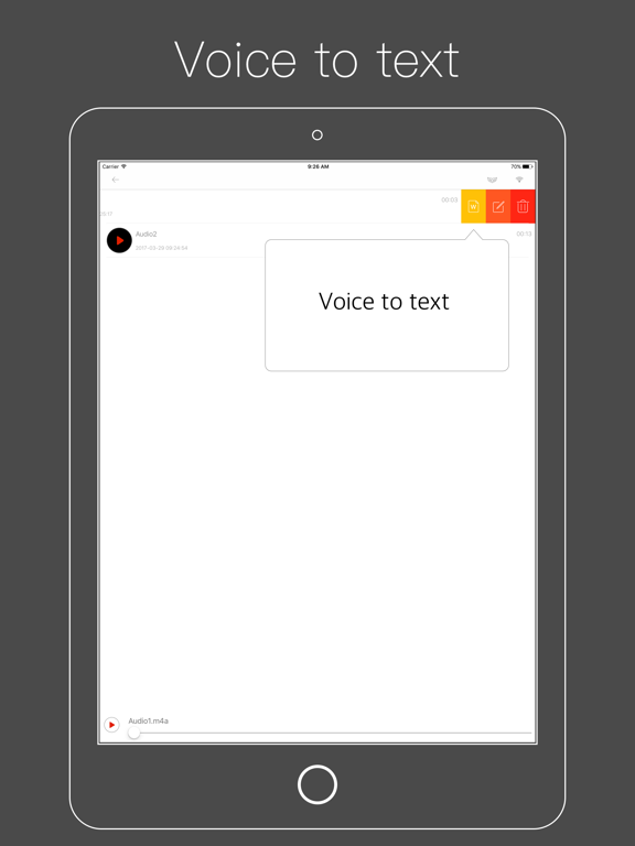 Voice Recorder ⁺ Recording screenshot 2