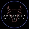 Ambasada Miesa