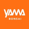 Yama Bonsai (J)INSPIRE