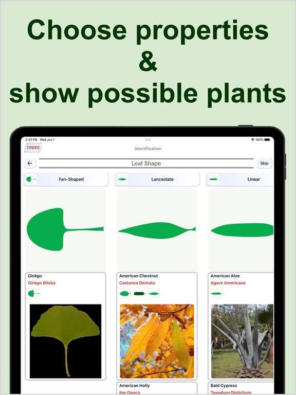 Forest Plant Identification screenshot 3