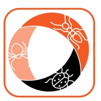 Termite  Pest Proposals