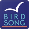 Birdsong Connect