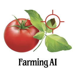 Tomato Disease Diagnosis