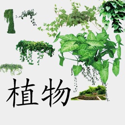 植物百科-汇聚数千种常见植物