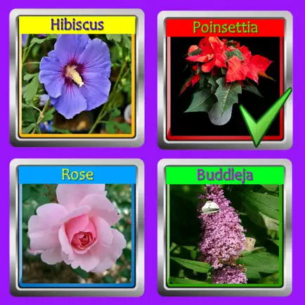 The Garden Quiz: Flowers Cheats