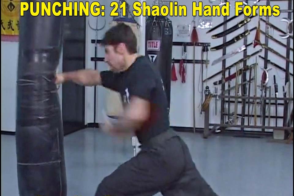 Shaolin Kung Fu Fundamental screenshot 4