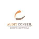 AUDIT CONSEIL ISUITE