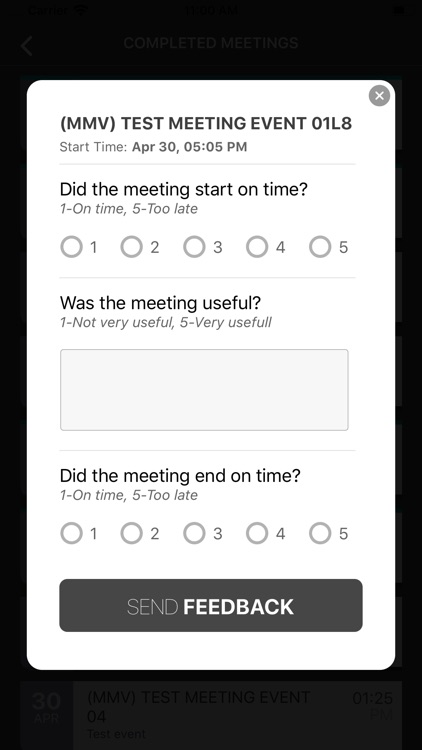 Making Meetings Work screenshot-3