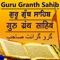 Icon Guru Granth Sahib Jii