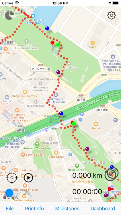 RunLogger & Milestone